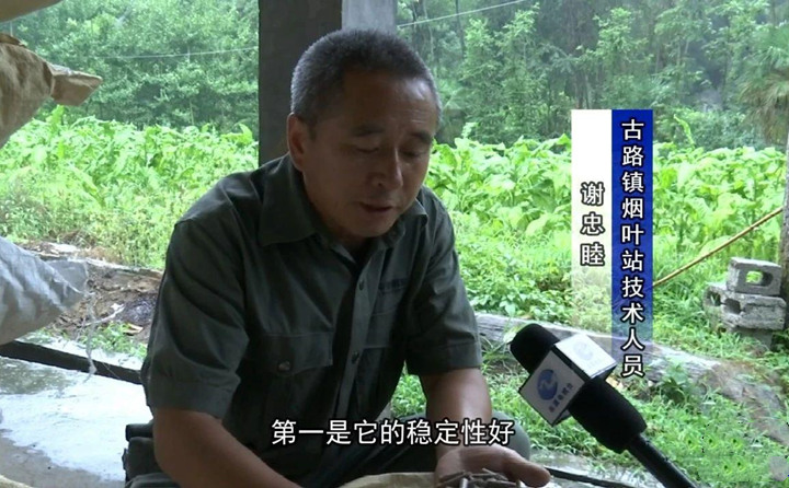 緊緊抓住木屑造粒機(jī)生物質(zhì)顆粒燃料加工場地建設(shè)項(xiàng)目落地的契機(jī)，找準(zhǔn)結(jié)合點(diǎn)，推動(dòng)共和綜合服務(wù)型煙農(nóng)專業(yè)合作社與生物質(zhì)顆粒燃料加工廠的緊密合作.jpg